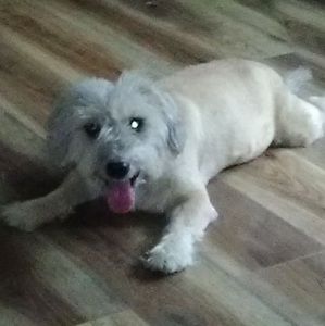 Meet your Posher, Cathy sue